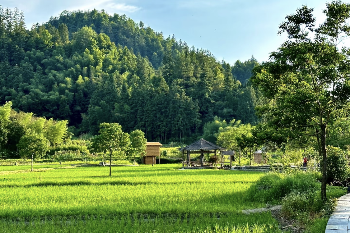 Ancient Town
